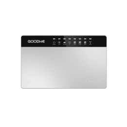 Goodwe Ezlogger Pro